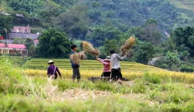 Best time to see ricefields and travel in the montainous area