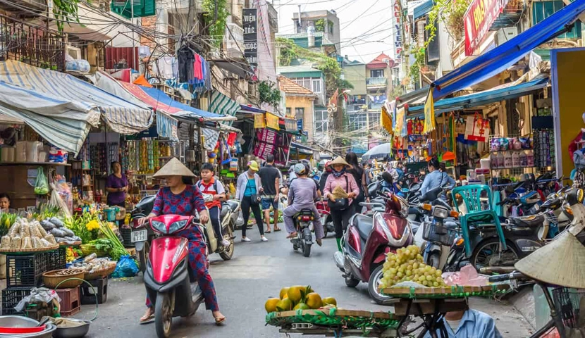 Guidance for tourists in Vietnam