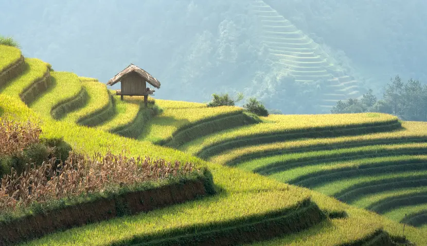 ricefields in the montainous area vietnamtravel