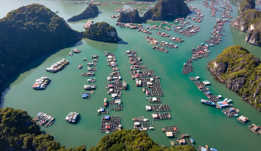 best time to visit beach viet nam travel cat ba