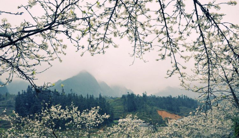Mu Cang Chai en primavera