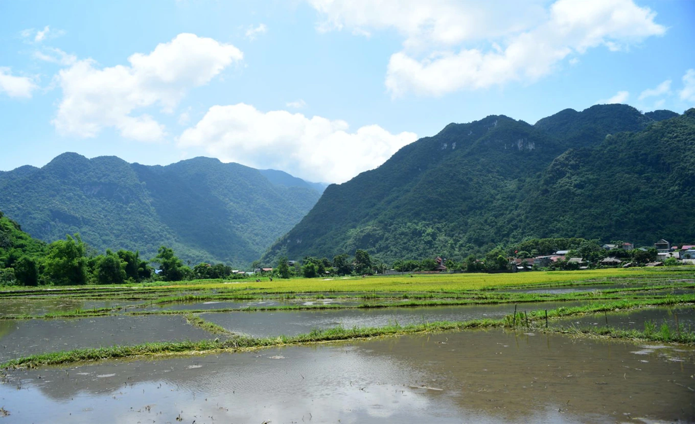 private tour in Vietnam