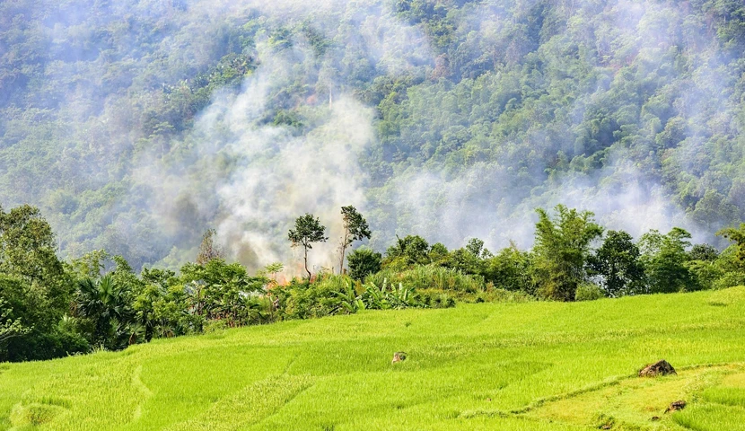 La natura di Pu Luong