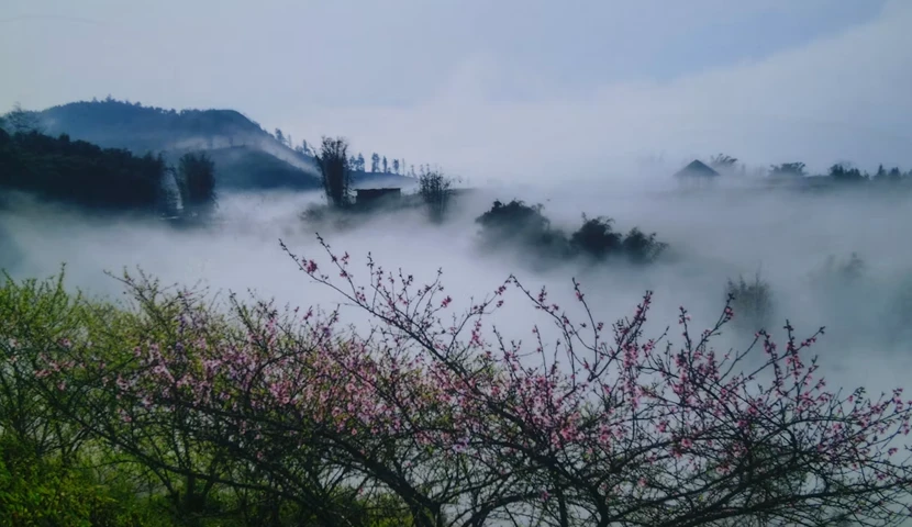 la primavera nella zona montuosa di Sapa