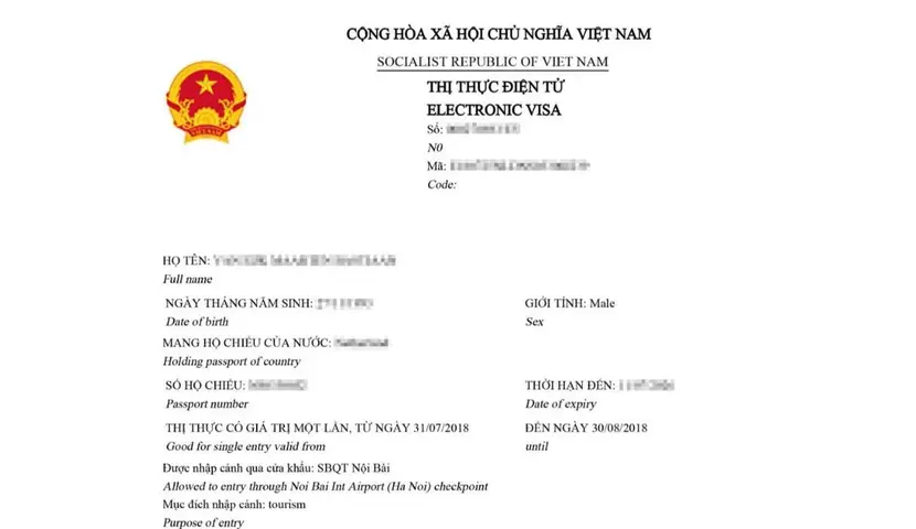 Vietnam Evisa Example