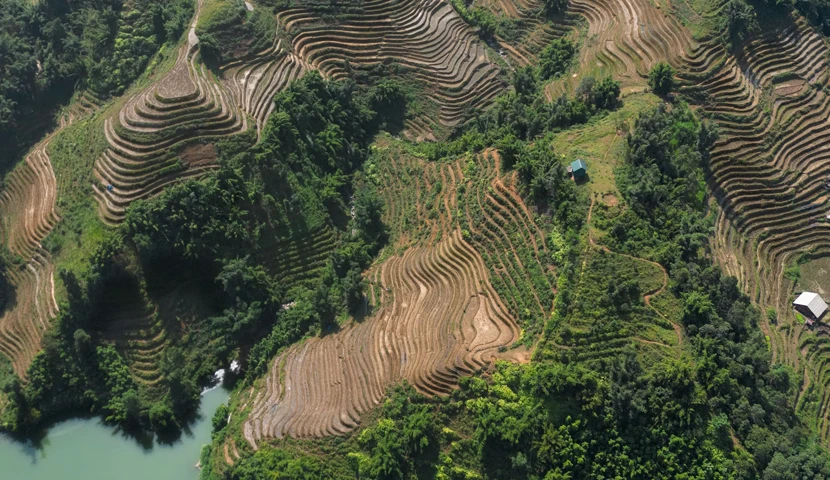 La risaia di Sapa
