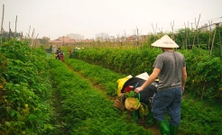 Hands on farming experience