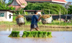 Laos Village