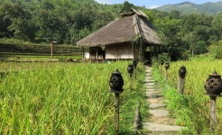 moutain in Laos 2