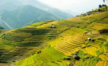 Viaggi di Mu Cang Chai e Sapa